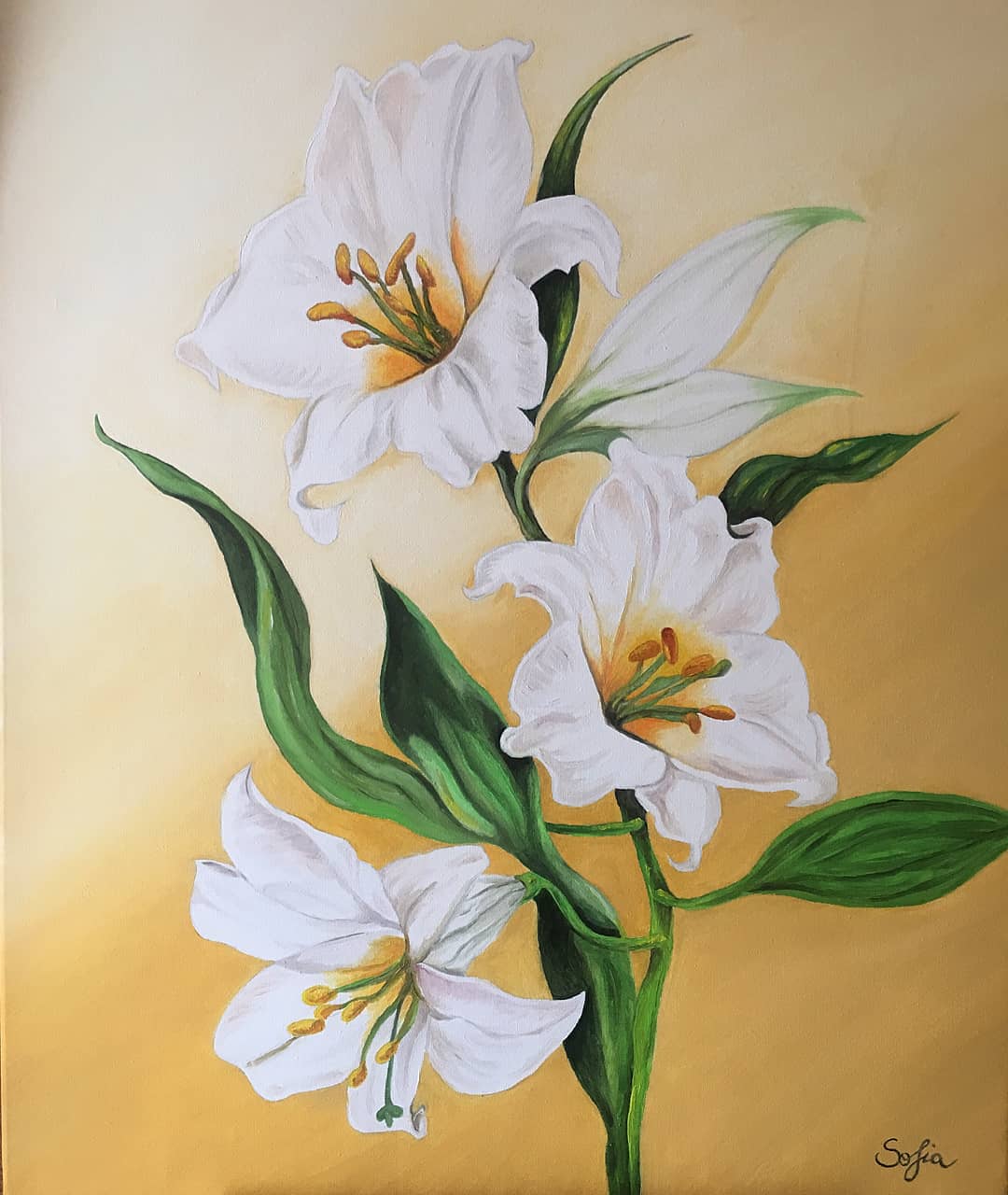 Olio su tela 40x50